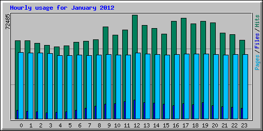 Hourly usage for January 2012