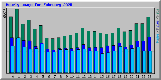 Hourly usage for February 2025