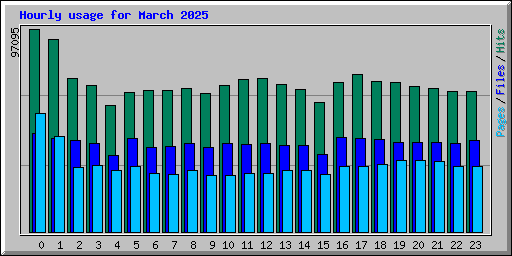 Hourly usage for March 2025