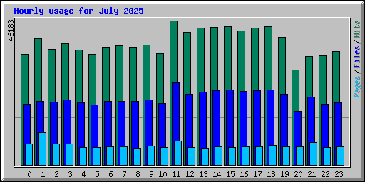 Hourly usage for July 2025