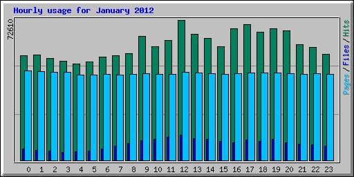 Hourly usage for January 2012