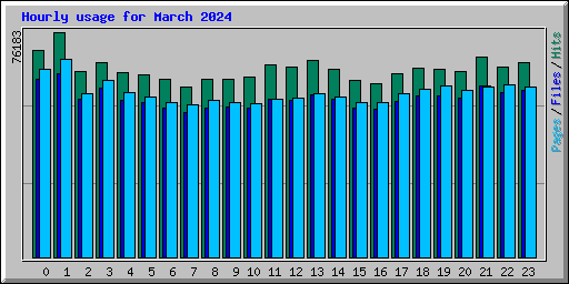 Hourly usage for March 2024