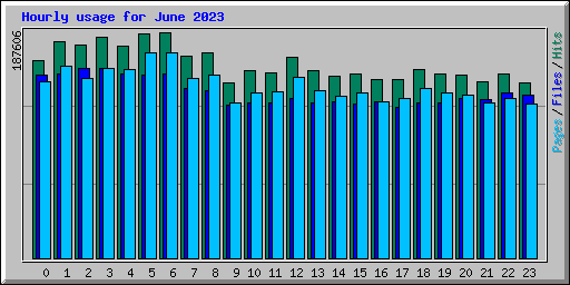 Hourly usage for June 2023