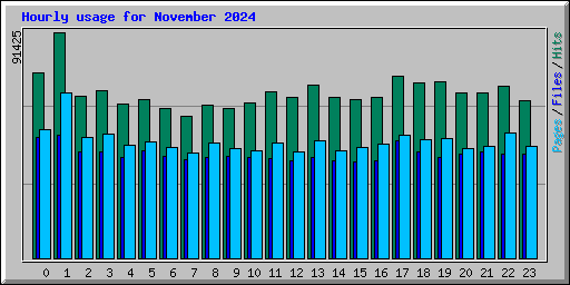 Hourly usage for November 2024