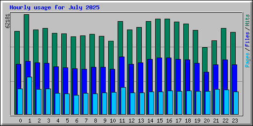 Hourly usage for July 2025