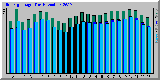 Hourly usage for November 2022